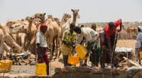 CORNE DE L’AFRIQUE : un financement 385 M$ pour l’exploitation des eaux souterraines ©Amors photos/Shutterstock