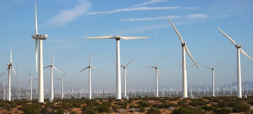 EGYPT: Acwa and Hassan Allam will establish a 1.1 GW wind power complex in Gabal el Zeit ©Cavan-Images/Shutterstock
