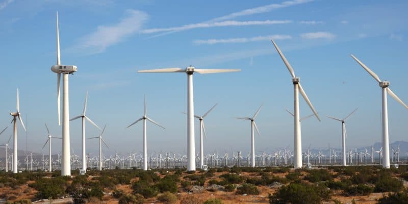 ÉGYPTE : Acwa et Hassan Allam établiront un complexe éolien de 1,1 GW à Gabal el Zeit ©Cavan-Images/Shutterstock