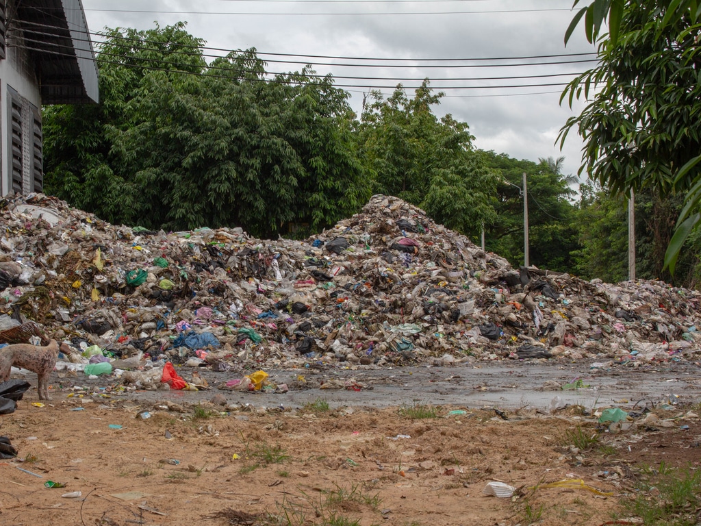 CAMEROUN : vers le renforcement du dispositif de gestion des déchets dans 27 villes © Krutong/ Shutterstock