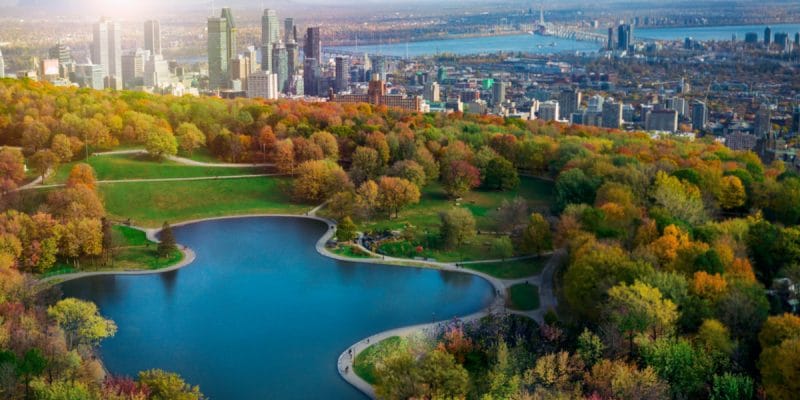 COP15: Montreal to host biodiversity conference from 5 to 17 December©Firefighter Montreal/Shutterstock
