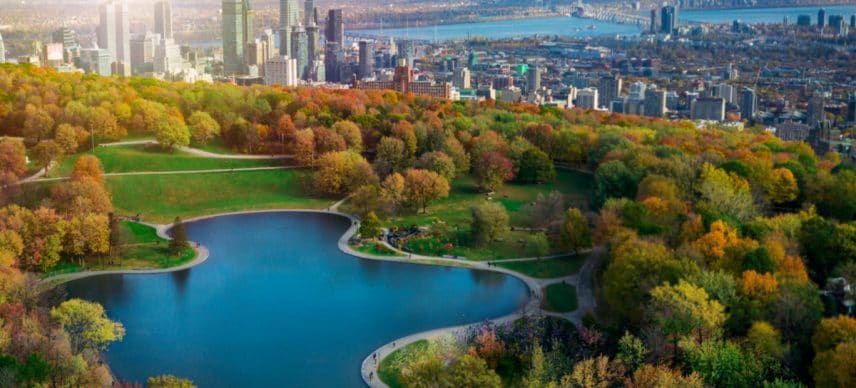 COP15: Montreal to host biodiversity conference from 5 to 17 December©Firefighter Montreal/Shutterstock