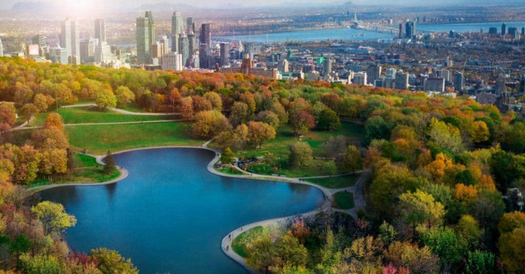 COP15 : Montréal accueillera la conférence sur la biodiversité en décembre 2022 ©Firefighter Montreal/Shutterstock