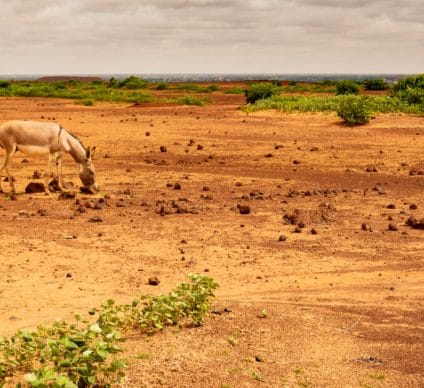 IVORY COAST: GCA to facilitate €2bn for climate resilience ©Harmattan Toujours/Shutterstock