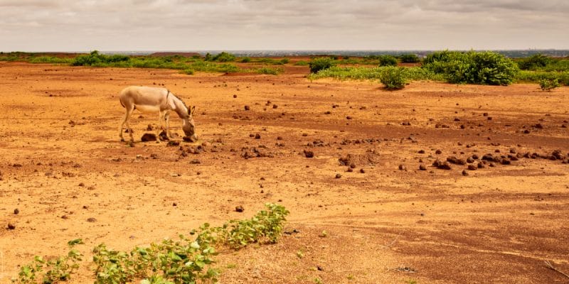 CÔTE D’IVOIRE : le GCA facilitera l’apport de 2 Md€ pour la résilience climatique ©Harmattan Toujours/Shutterstock