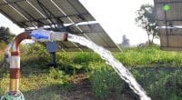 SÉNÉGAL/GUINÉE : un projet permet l’installation de systèmes d’irrigation solaires © Abhi photo studio/ Shutterstock