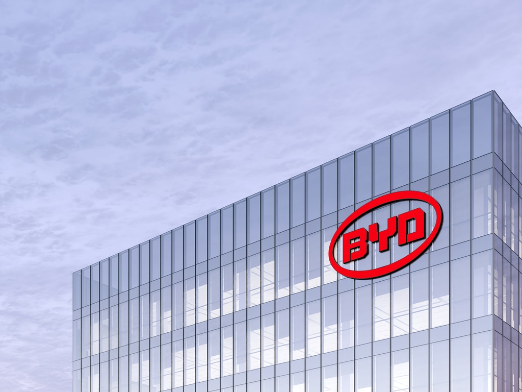 AFRICA: BYD to acquire 6 lithium mines to make EV batteries © Askarim/ Shutterstock