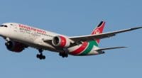 KENYA: SkyTeam's TFSC award takes Kenya Airways on board sustainable innovation © Wirestock Creators / Shutterstock
