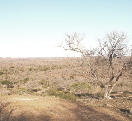 TOGO : GEF allocates $5.4 million to restore degraded land in the north ©Ikpor-Shutterstock @ikpro-Shutterstcok