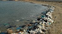 ÉGYPTE : Plastic Bank s’allie à snack worldLorenz contre la pollution plastique des océans © Oleg Kovtun Hydrobio / Shutterstock