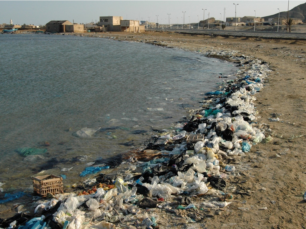 ÉGYPTE : Plastic Bank s’allie à snack worldLorenz contre la pollution plastique des océans © Oleg Kovtun Hydrobio / Shutterstock
