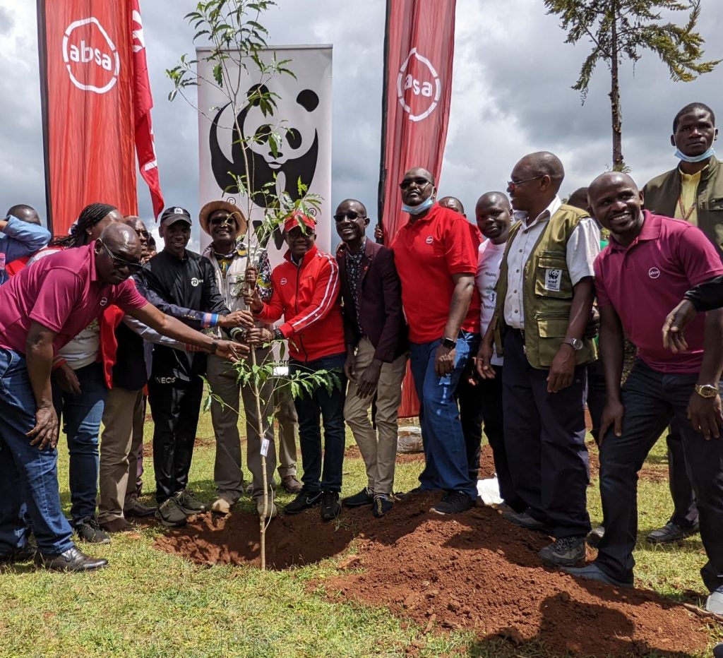 KENYA: 250,000 trees planted to restore Kaptagat forest©WWF Kenya