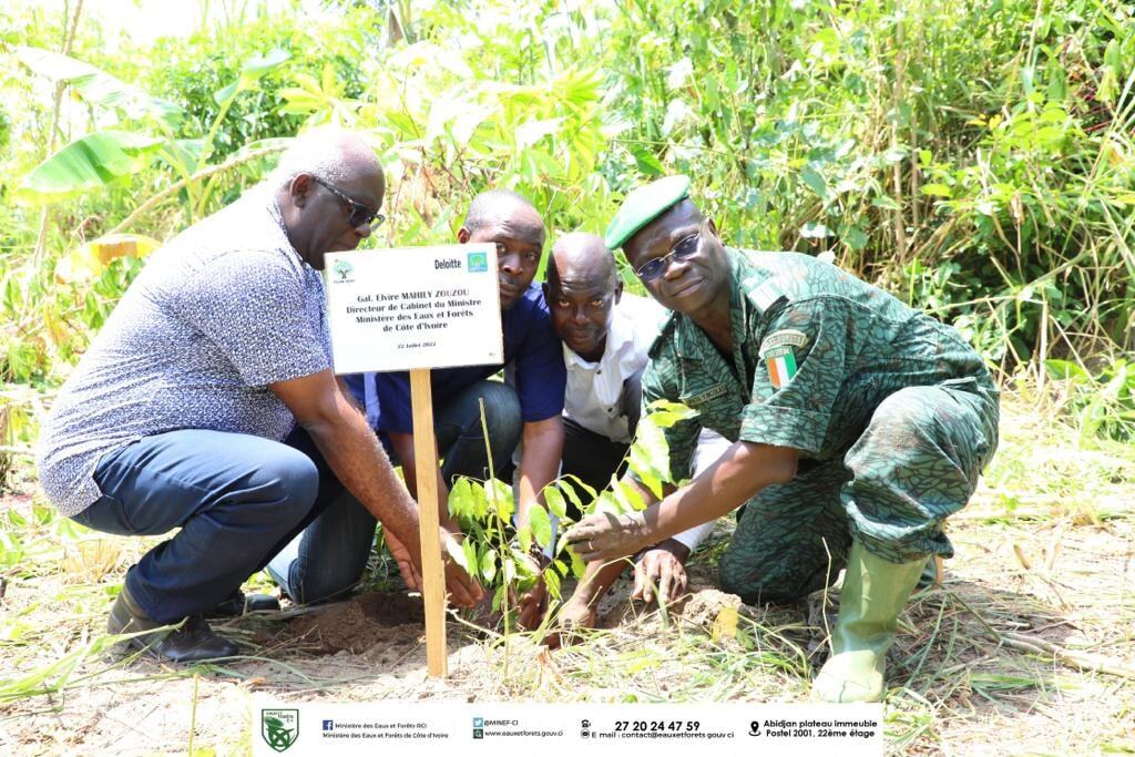 CÔTE D’IVOIRE : 19,5 hectares de forêt restaurés à Jacqueville©Ministère ivoirien des Eaux et forêts