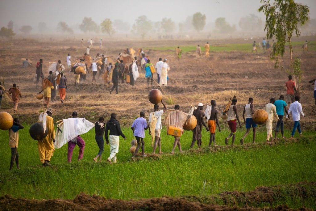 BÉNIN/GAMBIE : le FVC débloque 60 M$ pour la résilience climatique en zone rurale©Teo-Inspiro International/Shutterstock