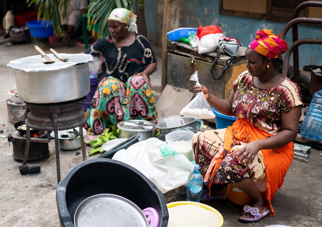 AFRICA: Aera and Ecosphere+ to sell carbon credits for clean cooking © Zurijeta/Shutterstock