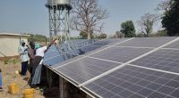 GAMBIA: FAO installs 34 solar irrigation systems for 6 600 farmers©FAO