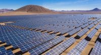 MOROCCO: A call for tenders for the construction (EPC) of seven 260 MW solar farms© abriendomundo/Shutterstock