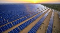 AFRIQUE DU SUD : Scatec lance la construction des centrales solaires de Kenhardt © Jenson/Shutterstock