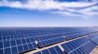 ÉGYPTE : Solariz va fournir de l’énergie solaire aux usines d’Electrolux au Caire© zhangyang13576997233/Shutterstock