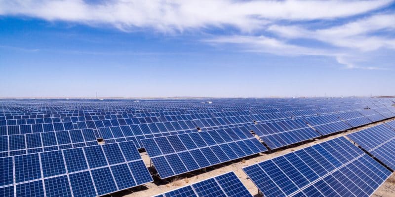 ÉGYPTE : Solariz va fournir de l’énergie solaire aux usines d’Electrolux au Caire© zhangyang13576997233/Shutterstock