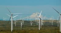 AFRIQUE : Actis confirme la vente du producteur d’énergies renouvelables Lekela Power© JEREMY C LIGHTSEY/Shutterstock