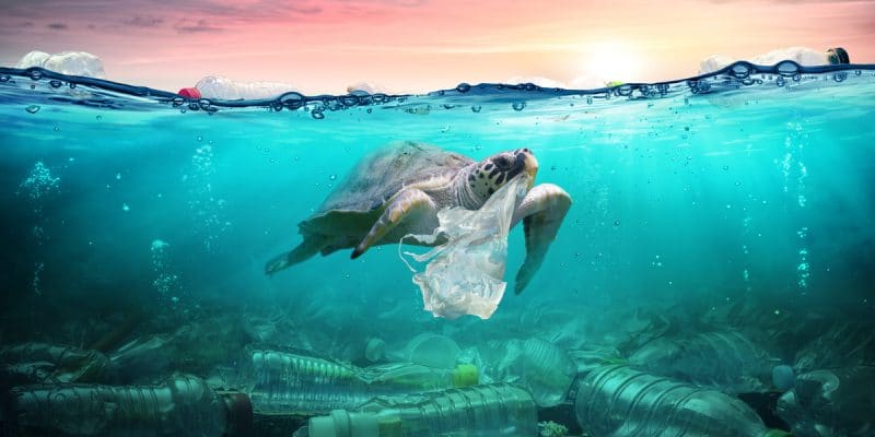 AFRIQUE DU NORD : le PNUE et la BEI unissent leurs forces contre la pollution marine ©Romolo Tavani/Shutterstock
