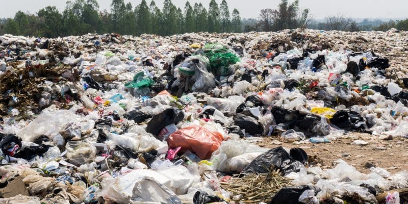 KENYA : une nouvelle loi sur la gestion durable des déchets promulguée© jointstar/Shutterstock