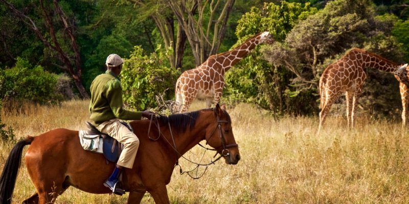 AFRICA: 3rd Wildlife Ranger Challenge to be held in September 2022 in Kasane ©tonyzhao120/Shutterstock