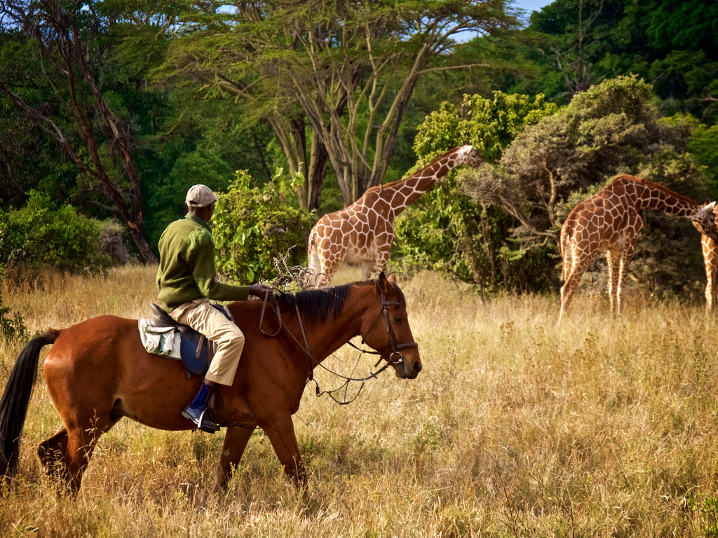 AFRICA: 3rd Wildlife Ranger Challenge to be held in September 2022 in Kasane ©tonyzhao120/Shutterstock