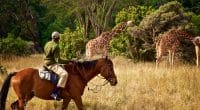 AFRIQUE : le 3e « Wildlife Ranger Challenge » se tient en septembre 2022 à Kasane ©tonyzhao120/Shutterstock