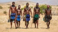 AFRIQUE : les peuples autochtones dépendent de 50 000 espèces menacés (IPBES)©GUDKOVANDREY/Shutterstock