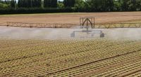 TANZANIE : 13 systèmes d’irrigation seront construits pour l’agriculture à Mbeya©ChiccoDodiFC/Shutterstock