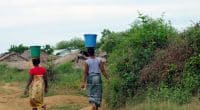 ZAMBIE : l’État veut mobiliser près de 6 Md$ pour l’accès à l’eau d’ici à 2030©Clemence Behier/Shutterstock