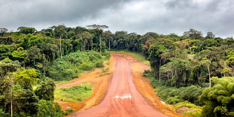 CAMEROUN : un projet routier menace le massif forestier d’Ebo © Ayotography/shutterstock