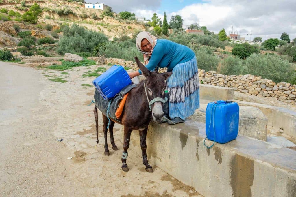 TUNISIE : face aux aléas climatiques, l’AFD publie « l'Eau, promesse d'émancipation » © AFD