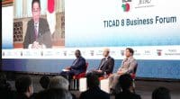 AFRICA: Japan to invest $30bn to support sustainable growth by 2025© Ticad