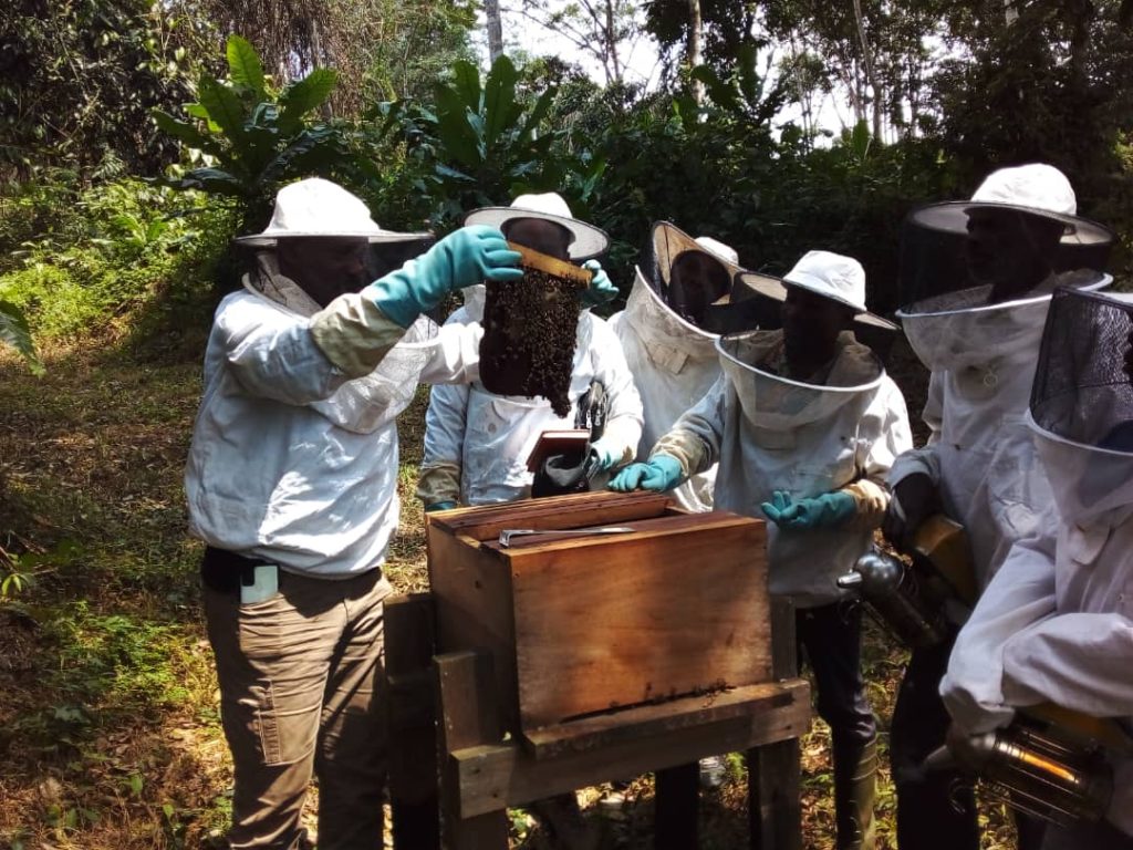 GABON: when beekeeping reduces community pressure on the forest and wildlife©ConservationJustice