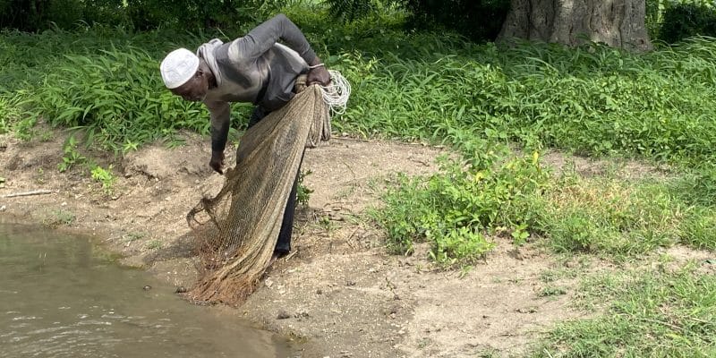 CAMEROUN : meurtris par le climat, les nordistes poussent des cris vers la COP27©ACA