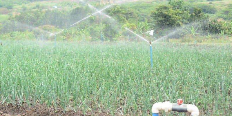 OUGANDA : à Garuka, le gouvernement inaugure un programme d’irrigation à petite échelle©Ministère ougandais de l'Eau et l'Environnement