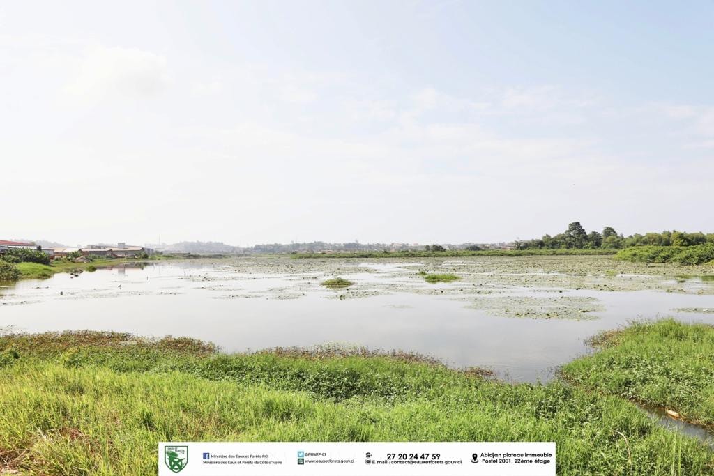 Ivory Coast: Lake San Pedro to be developed to fight pollution©Ivorian Ministry of Water and Forests