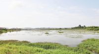 CÔTE D’IVOIRE : le lac San Pedro sera aménagé pour lutter contre la pollution©Ministère ivoirien des Eaux et forêts