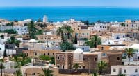 TUNISIA: The use of plastic bags is now banned in Djerba©BTWImages/shutterstock