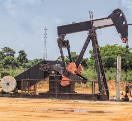 DRC: Over 100,000 sign petition against oil development©Andre Silva Pinto/Shutterstock