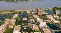 SUDAN: biodiversity at risk after deadly floods©Abd_Almohimen_Sayed