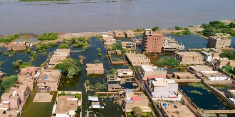 SOUDAN : la biodiversité en péril après les inondations meurtrières©Abd_Almohimen_Say