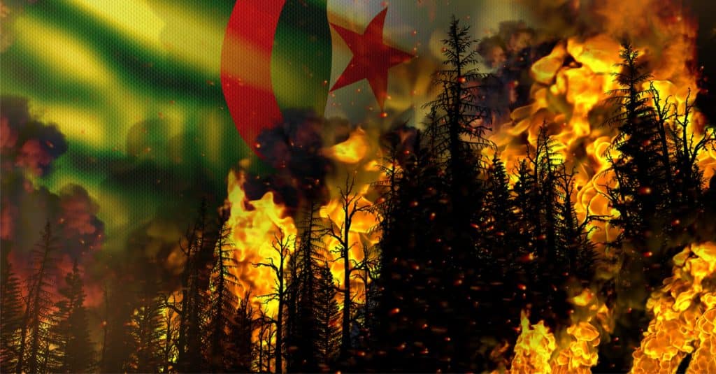 ALGERIA: Forest fires, authorities suspect arsonists ©Dancing_Man/Shutterstock
