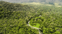 DRC: US pledges support for peatland protection ©Gustavo FrazaoShutterstock