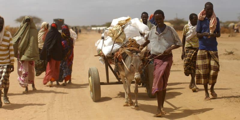 AFRICA: Climate crisis causes 15% annual loss of GDP per capita©mehmet ali poyraz/Shutterstock