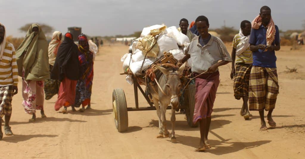 AFRIQUE : la crise climatique provoque la perte annuelle de 15% du PIB par habitant ©mehmet ali poyraz/Shutterstock