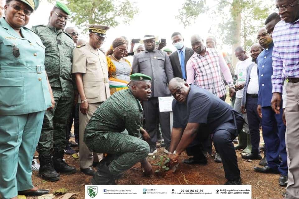 CÔTE D’IVOIRE : le projet de restauration de la réserve botanique de Divo est lancé© Ministère des Eaux et Forêts-RCI